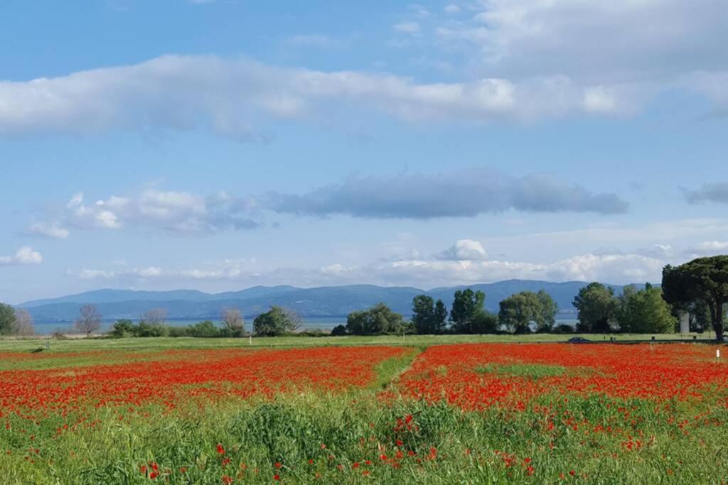 Bellavista La Tua Romantica Vacanza Sul Trasimeno Apartman Castiglione del Lago Kültér fotó