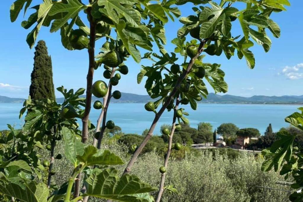 Bellavista La Tua Romantica Vacanza Sul Trasimeno Apartman Castiglione del Lago Kültér fotó