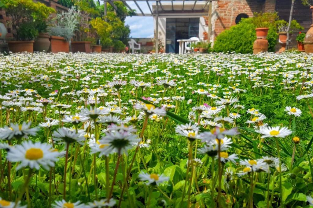 Bellavista La Tua Romantica Vacanza Sul Trasimeno Apartman Castiglione del Lago Kültér fotó