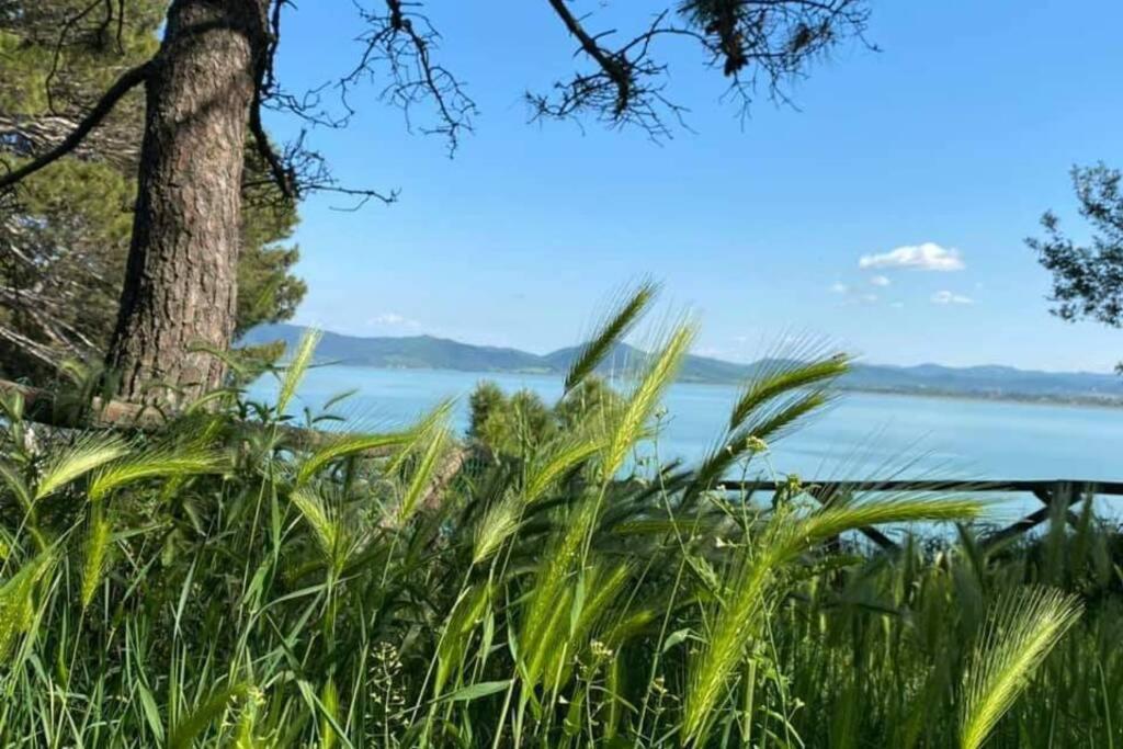 Bellavista La Tua Romantica Vacanza Sul Trasimeno Apartman Castiglione del Lago Kültér fotó