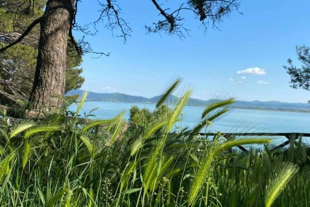 Bellavista La Tua Romantica Vacanza Sul Trasimeno Castiglione del Lago Kültér fotó