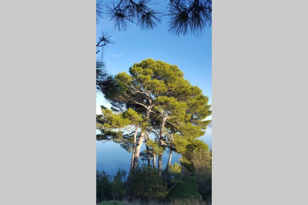 Bellavista La Tua Romantica Vacanza Sul Trasimeno Castiglione del Lago Kültér fotó