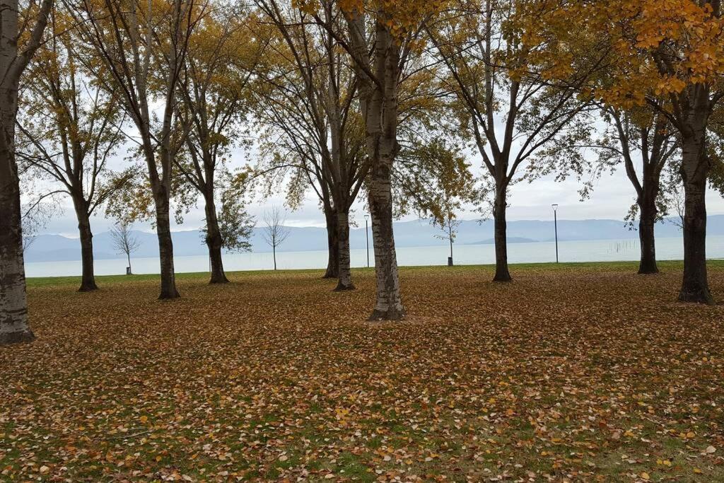 Bellavista La Tua Romantica Vacanza Sul Trasimeno Apartman Castiglione del Lago Kültér fotó