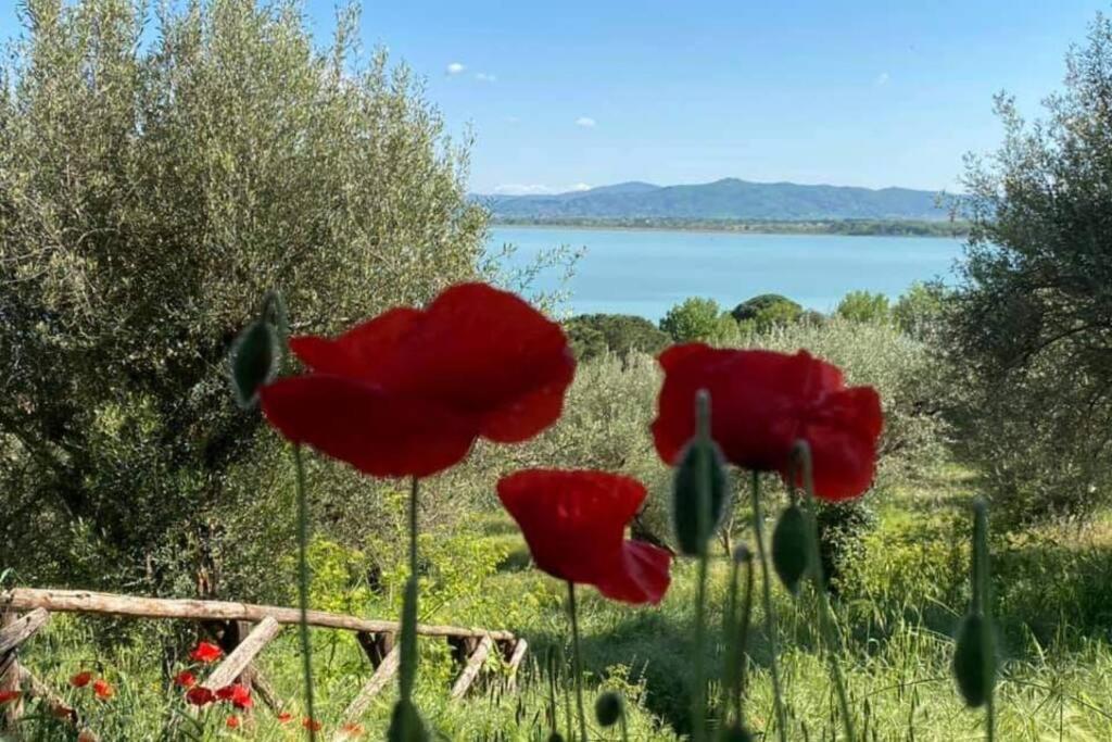 Bellavista La Tua Romantica Vacanza Sul Trasimeno Apartman Castiglione del Lago Kültér fotó