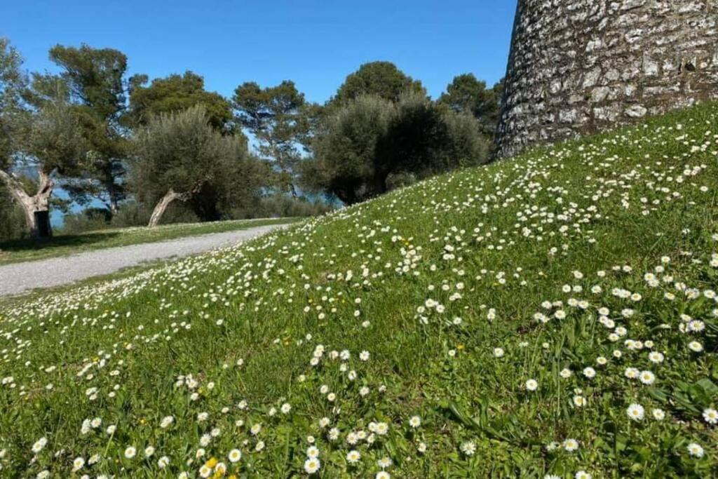 Bellavista La Tua Romantica Vacanza Sul Trasimeno Apartman Castiglione del Lago Kültér fotó