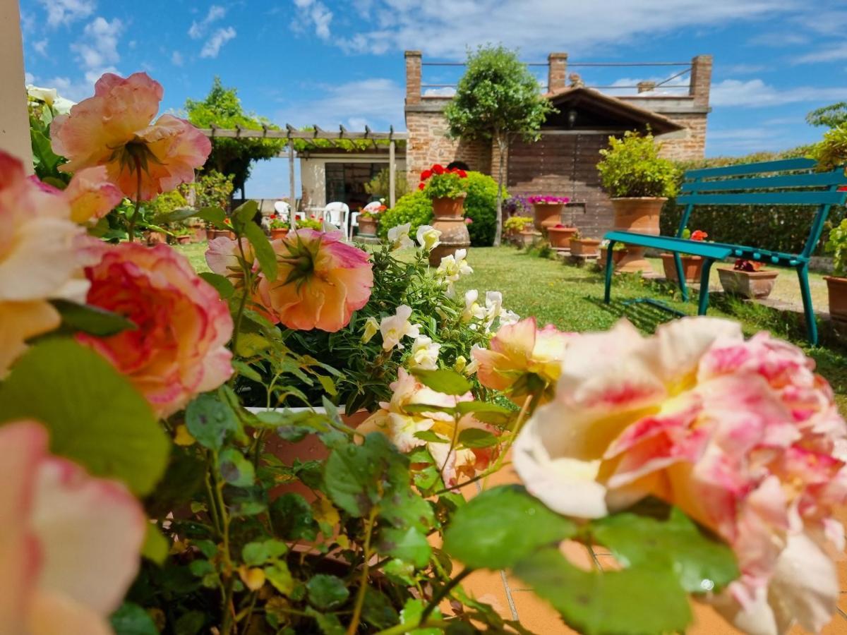 Bellavista La Tua Romantica Vacanza Sul Trasimeno Apartman Castiglione del Lago Kültér fotó